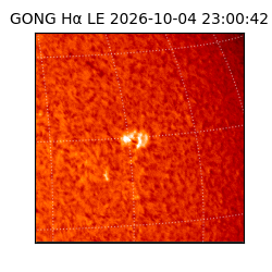 gong - 2026-10-04T23:00:42