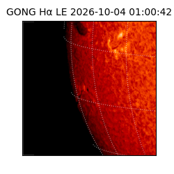 gong - 2026-10-04T01:00:42