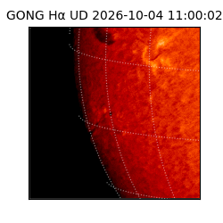gong - 2026-10-04T11:00:02