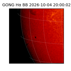 gong - 2026-10-04T20:00:02