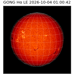 gong - 2026-10-04T01:00:42