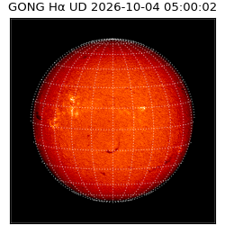 gong - 2026-10-04T05:00:02