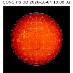 gong - 2026-10-04T10:00:02