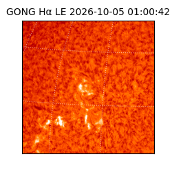 gong - 2026-10-05T01:00:42