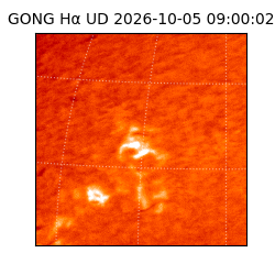 gong - 2026-10-05T09:00:02