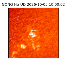 gong - 2026-10-05T10:00:02