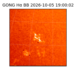 gong - 2026-10-05T19:00:02