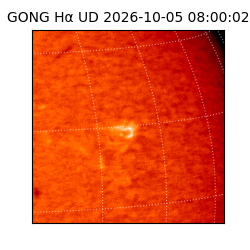gong - 2026-10-05T08:00:02