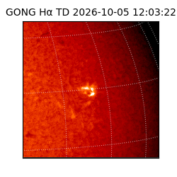 gong - 2026-10-05T12:03:22