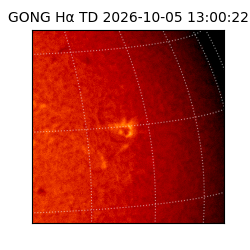 gong - 2026-10-05T13:00:22