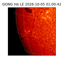 gong - 2026-10-05T01:00:42