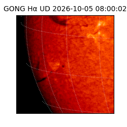 gong - 2026-10-05T08:00:02