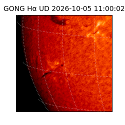 gong - 2026-10-05T11:00:02