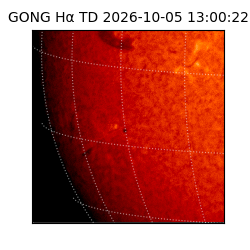 gong - 2026-10-05T13:00:22