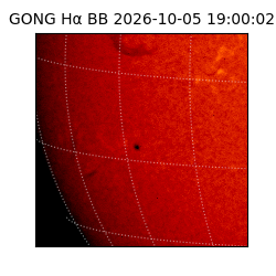 gong - 2026-10-05T19:00:02