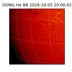 gong - 2026-10-05T20:00:02