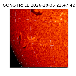 gong - 2026-10-05T22:47:42