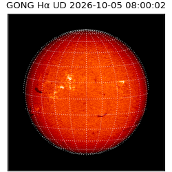 gong - 2026-10-05T08:00:02