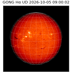 gong - 2026-10-05T09:00:02