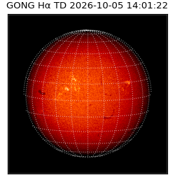 gong - 2026-10-05T14:01:22