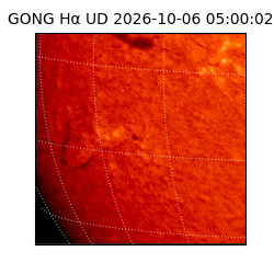 gong - 2026-10-06T05:00:02