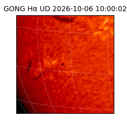 gong - 2026-10-06T10:00:02