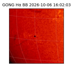 gong - 2026-10-06T16:02:03