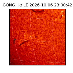gong - 2026-10-06T23:00:42