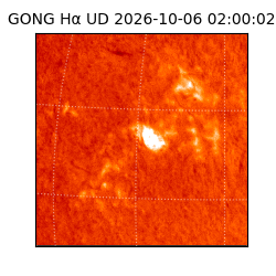 gong - 2026-10-06T02:00:02