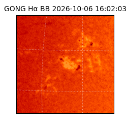 gong - 2026-10-06T16:02:03