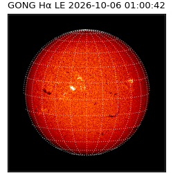 gong - 2026-10-06T01:00:42
