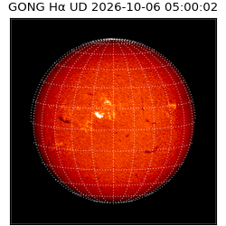 gong - 2026-10-06T05:00:02