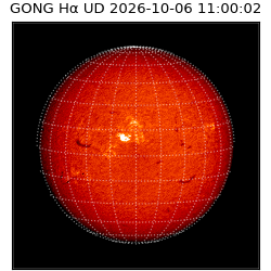 gong - 2026-10-06T11:00:02