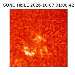 gong - 2026-10-07T01:00:42