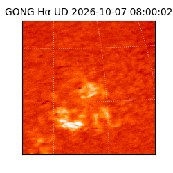 gong - 2026-10-07T08:00:02