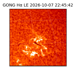 gong - 2026-10-07T22:45:42