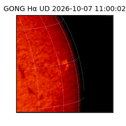 gong - 2026-10-07T11:00:02