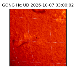 gong - 2026-10-07T03:00:02