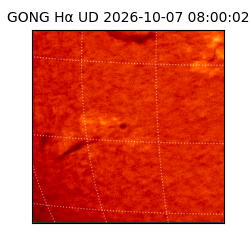 gong - 2026-10-07T08:00:02