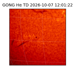 gong - 2026-10-07T12:01:22