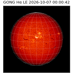 gong - 2026-10-07T00:00:42