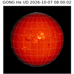 gong - 2026-10-07T08:00:02