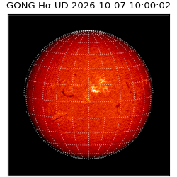 gong - 2026-10-07T10:00:02