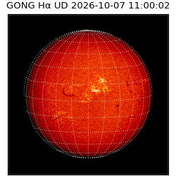 gong - 2026-10-07T11:00:02