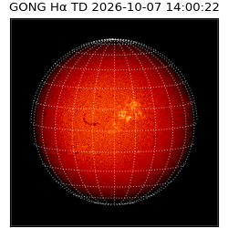 gong - 2026-10-07T14:00:22
