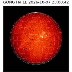 gong - 2026-10-07T23:00:42