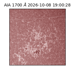 saia - 2026-10-08T19:00:28.716000
