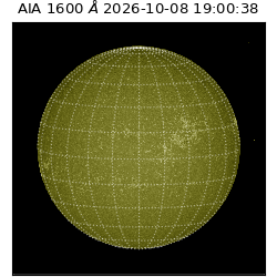 saia - 2026-10-08T19:00:38.123000