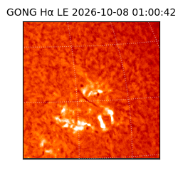 gong - 2026-10-08T01:00:42