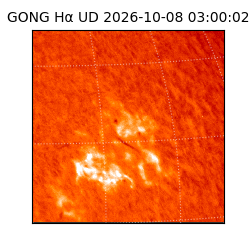 gong - 2026-10-08T03:00:02